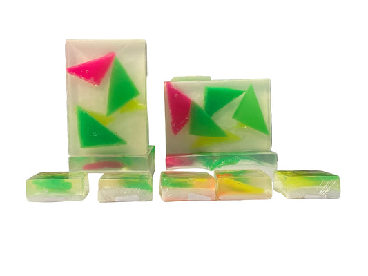 "Roscoe's Modern Life" Soap